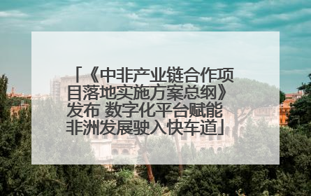 《中非产业链合作项目落地实施方案总纲》发布 数字化平台赋能非洲发展驶入快车道