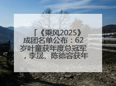 《乘风2025》成团名单公布：62岁叶童获年度总冠军，李晟、陈德容获年度高光人物