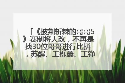 《披荆斩棘的哥哥5》赛制将大改，不再是找30位哥哥进行比拼，苏醒、王栎鑫、王铮亮、张远等多名男团选手被曝将参加
