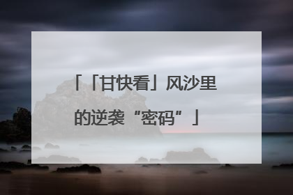 「甘快看」风沙里的逆袭“密码”