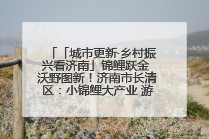 「城市更新·乡村振兴看济南」锦鲤跃金 沃野图新！济南市长清区：小锦鲤大产业 游出农旅新风景
