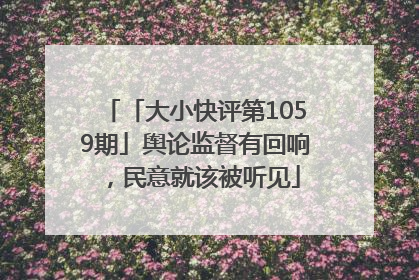 「大小快评第1059期」舆论监督有回响，民意就该被听见