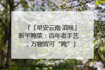 「早安云南·滇味」新平腌菜：百年老手艺，万物皆可“腌”