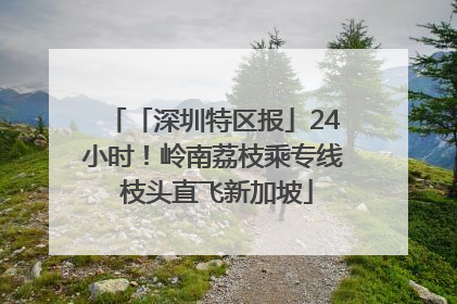 「深圳特区报」24小时！岭南荔枝乘专线 枝头直飞新加坡
