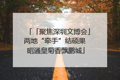 「聚焦深圳文博会」两地“牵手”结硕果 昭通皇菊香飘鹏城