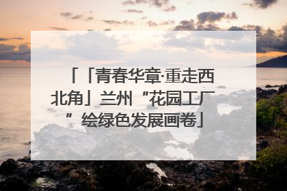 「青春华章·重走西北角」兰州“花园工厂”绘绿色发展画卷