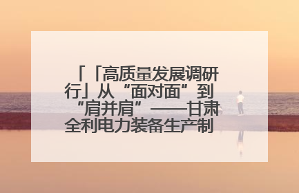 「高质量发展调研行」从“面对面”到“肩并肩”——甘肃全利电力装备生产制造项目一线见闻