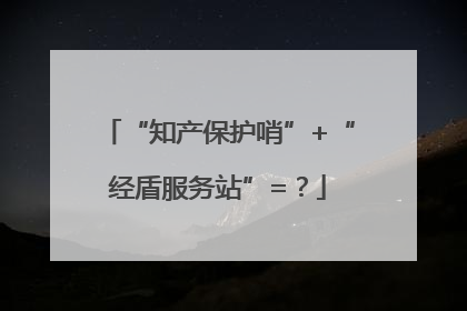“知产保护哨”+“经盾服务站”=？