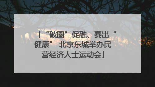 “破圈”促融、赛出“健康” 北京东城举办民营经济人士运动会