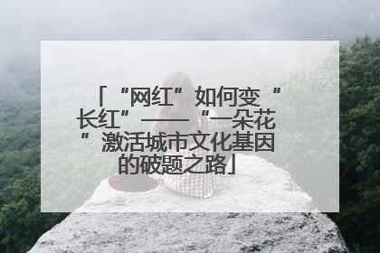 “网红”如何变“长红”——“一朵花”激活城市文化基因的破题之路