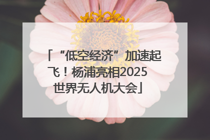“低空经济”加速起飞！杨浦亮相2025世界无人机大会