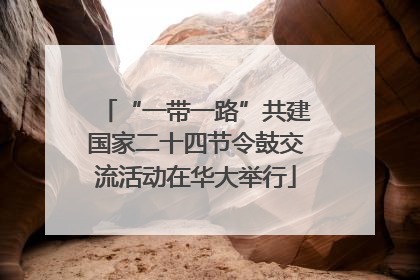 “一带一路”共建国家二十四节令鼓交流活动在华大举行