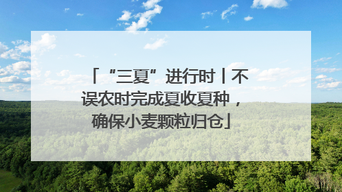 “三夏”进行时丨不误农时完成夏收夏种，确保小麦颗粒归仓