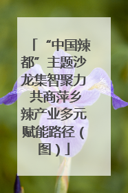 “中国辣都”主题沙龙集智聚力 共商萍乡辣产业多元赋能路径（图）