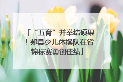 “五育”并举结硕果！郏县少儿体操队在省锦标赛勇创佳绩