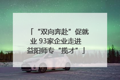 “双向奔赴”促就业 93家企业走进益阳师专“揽才”