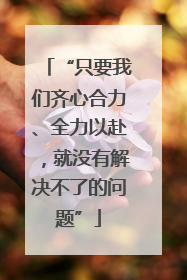 “只要我们齐心合力、全力以赴，就没有解决不了的问题”