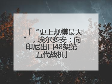“史上规模最大”，埃尔多安：向印尼出口48架第五代战机