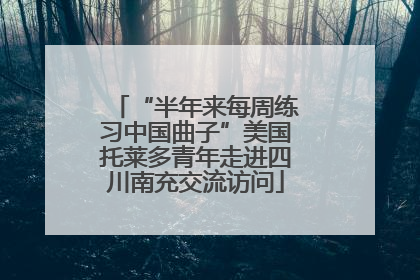 “半年来每周练习中国曲子”美国托莱多青年走进四川南充交流访问