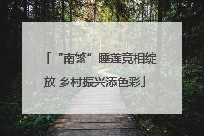 “南繁”睡莲竞相绽放 乡村振兴添色彩