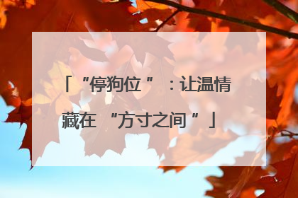 “停狗位 ”：让温情藏在 “方寸之间 ”