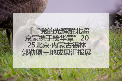 “党的光辉耀北疆 京蒙携手绘华章”2025北京·内蒙古锡林郭勒盟三地成果汇报展系列活动启动