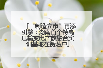 “制造立市”再添引擎：湖南首个特高压输变电产教融合实训基地在衡落户