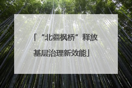 “北疆枫桥”释放基层治理新效能