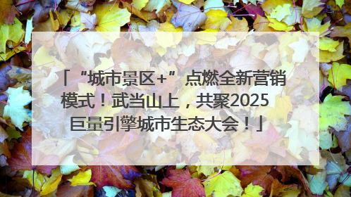 “城市景区+”点燃全新营销模式！武当山上，共聚2025巨量引擎城市生态大会！
