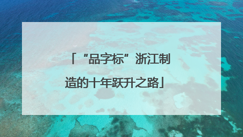 “品字标”浙江制造的十年跃升之路