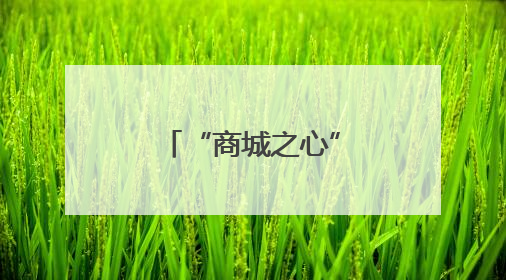 “商城之心”过端午，知识与欢乐撞个满怀