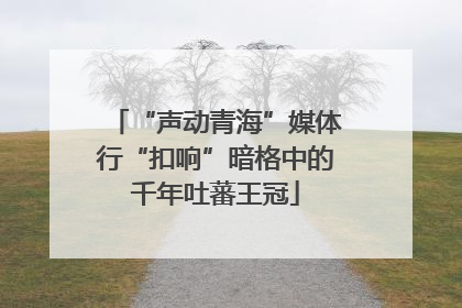 “声动青海”媒体行“扣响”暗格中的千年吐蕃王冠
