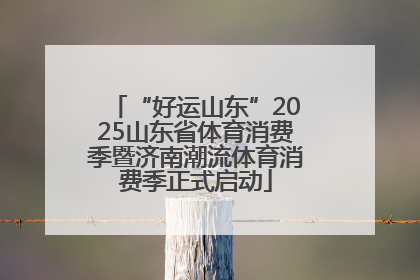 “好运山东”2025山东省体育消费季暨济南潮流体育消费季正式启动