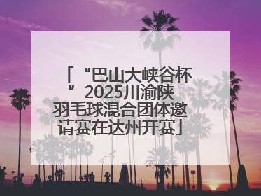 “巴山大峡谷杯”2025川渝陕羽毛球混合团体邀请赛在达州开赛