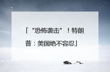 “恐怖袭击”！特朗普：美国绝不容忍