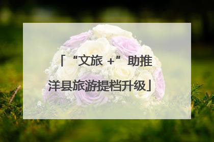 “文旅 +”助推洋县旅游提档升级