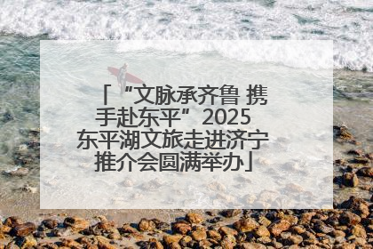 “文脉承齐鲁 携手赴东平”2025东平湖文旅走进济宁推介会圆满举办