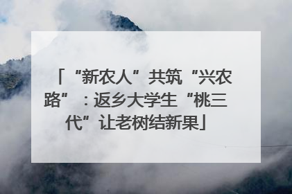 “新农人”共筑“兴农路”：返乡大学生“桃三代”让老树结新果