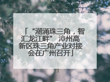 “潮涌珠三角，智汇龙江畔” 漳州高新区珠三角产业对接会在广州召开