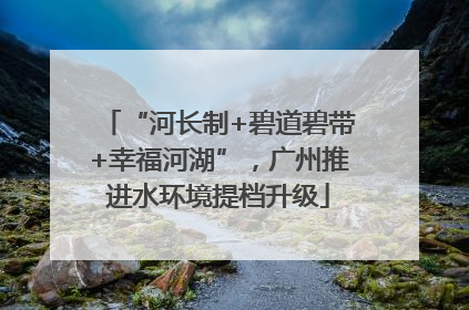 “河长制+碧道碧带+幸福河湖”，广州推进水环境提档升级
