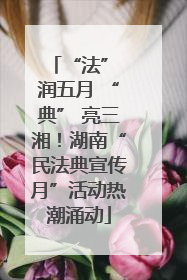 “法” 润五月 “典” 亮三湘！湖南“民法典宣传月”活动热潮涌动