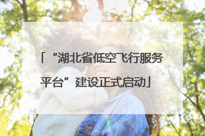 “湖北省低空飞行服务平台”建设正式启动