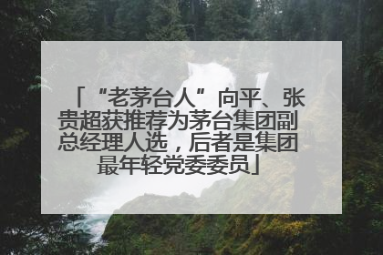 “老茅台人”向平、张贵超获推荐为茅台集团副总经理人选，后者是集团最年轻党委委员
