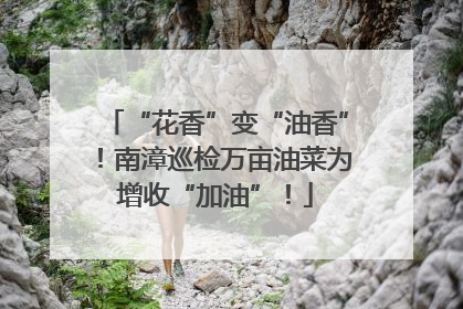 “花香”变“油香”！南漳巡检万亩油菜为增收“加油”！