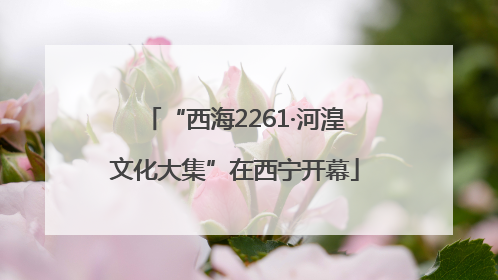 “西海2261·河湟文化大集”在西宁开幕
