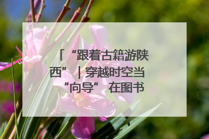 “跟着古籍游陕西”｜穿越时空当“向导” 在图书馆外“活”起来