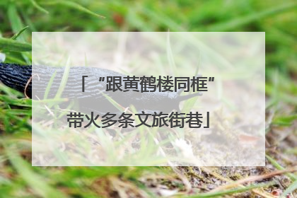 “跟黄鹤楼同框”带火多条文旅街巷