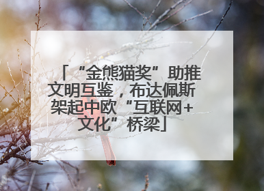 “金熊猫奖”助推文明互鉴，布达佩斯架起中欧“互联网+文化”桥梁