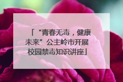 “青春无毒，健康未来”公主岭市开展校园禁毒知识讲座