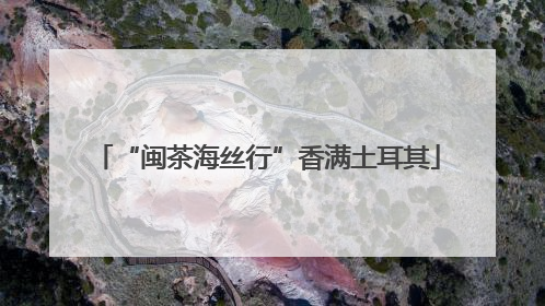 “闽茶海丝行”香满土耳其